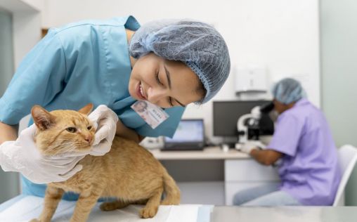 Crece el IPC de los servicios veterinarios en agosto y registra la misma tasa que el general