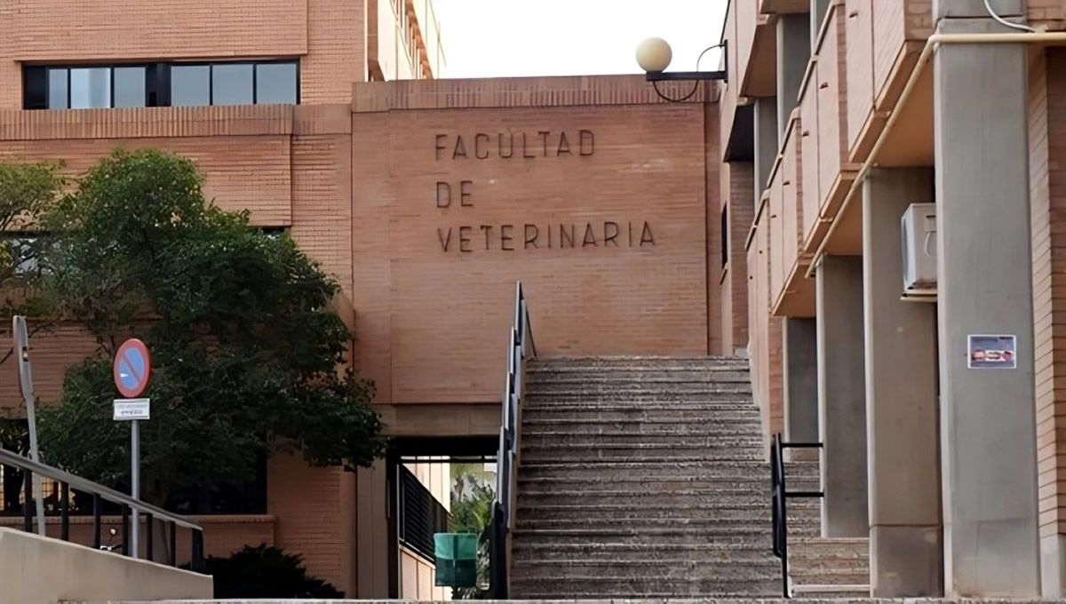 Facultad de Veterinaria de la Universidad de Murcia, el centro con la nota de corte más alta de la EBAU 2024. (Foto: Universidad de Murcia)