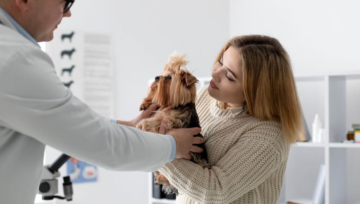 Mujer con su mascota en la clínica veterinaria antes de pagar el precio de un tratamiento. (Foto: Freepik)