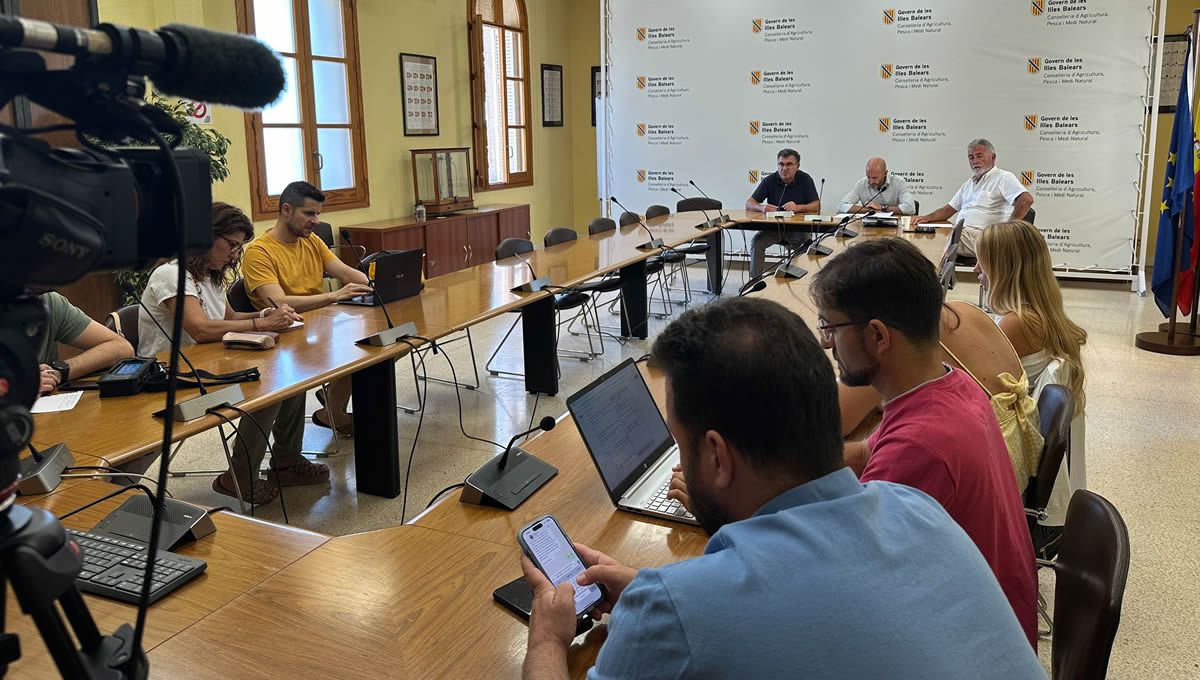 Reunión donde se ha hablado de la lengua azul en Mallorca. (Foto: Govern)