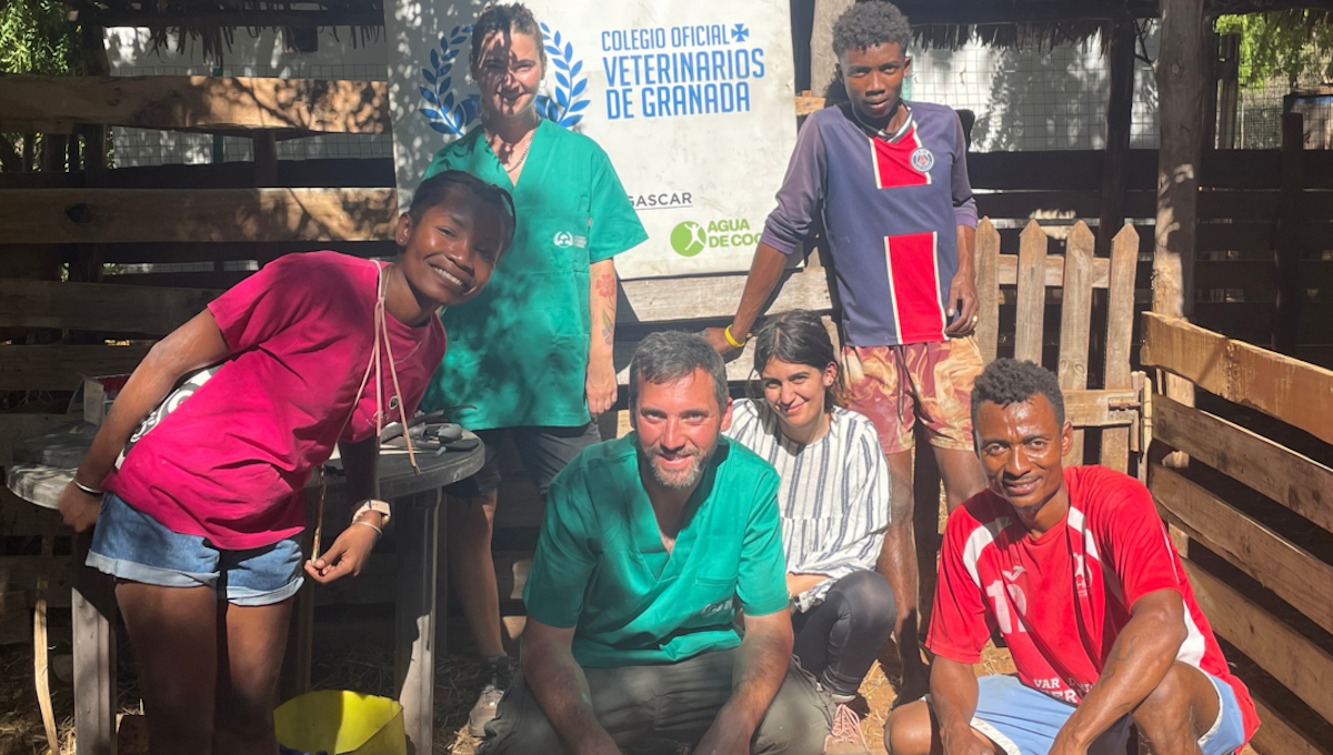 Javier Maestra trabajando en el proyecto Ronono Osy en Madagascar. (Foto: Colegio de Veterinarios de Granada)