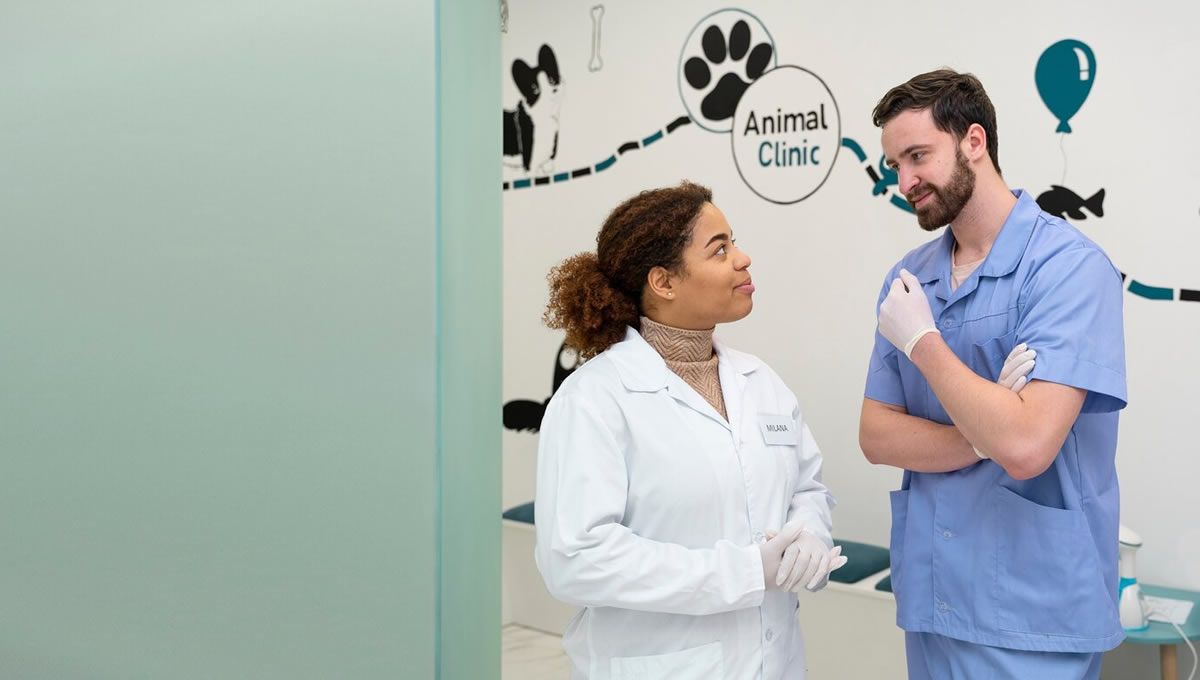 Veterinarios debatiendo sobre los salarios. (Foto: Freepik)