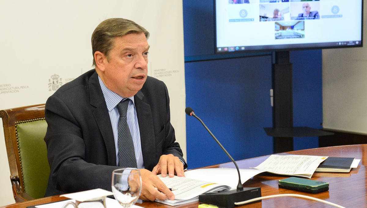 Luis Planas anunciando las ayudas del Gobierno en la Conferencia Sectorial. (Foto: Ministerio de Agricultura, Pesca y Alimentación)