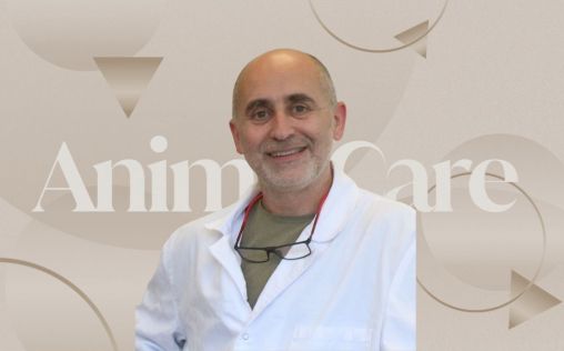 Joaquim Segalés: "España está realizando muy buena investigación en Veterinaria con pocos recursos"