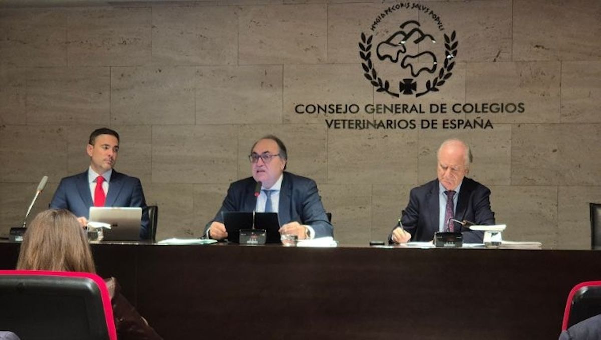 Presentación de presupuestos de la OCV. (Foto: OCV)