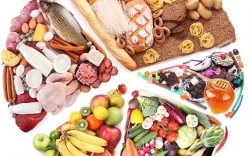 ¿qué Diferencia Hay Entre Alimentación Saludable Y Alimentación Nutritivaemk 9140