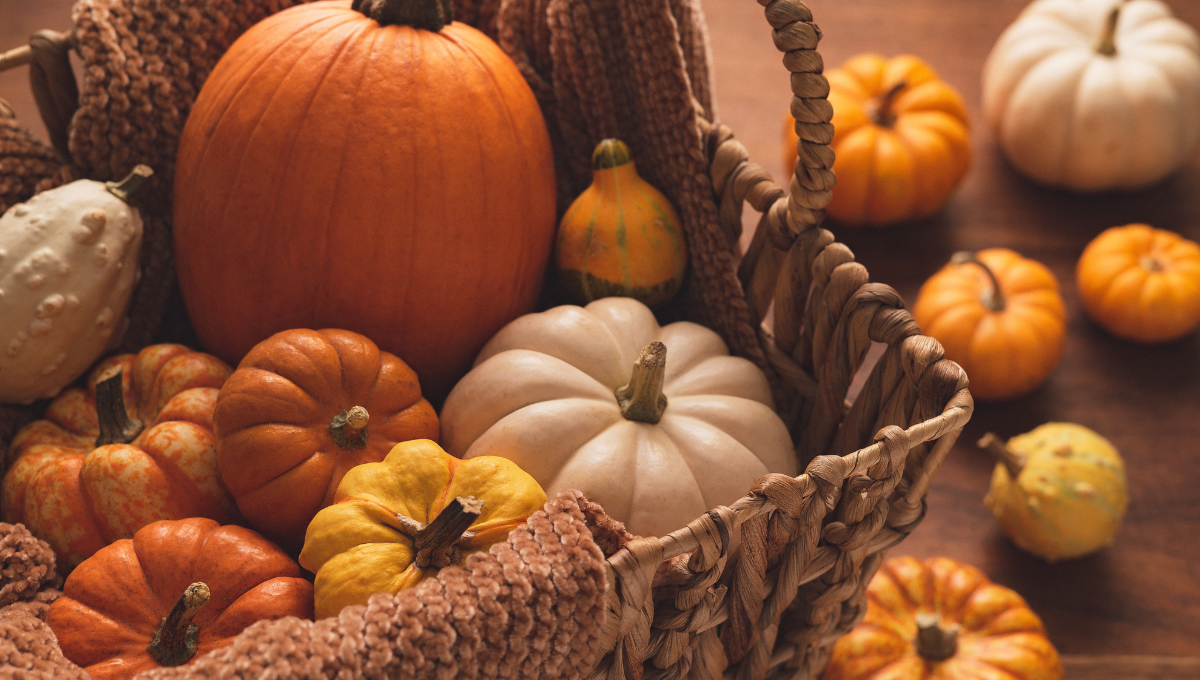 La calabaza, el superalimento del otoño (Foto. Canva)