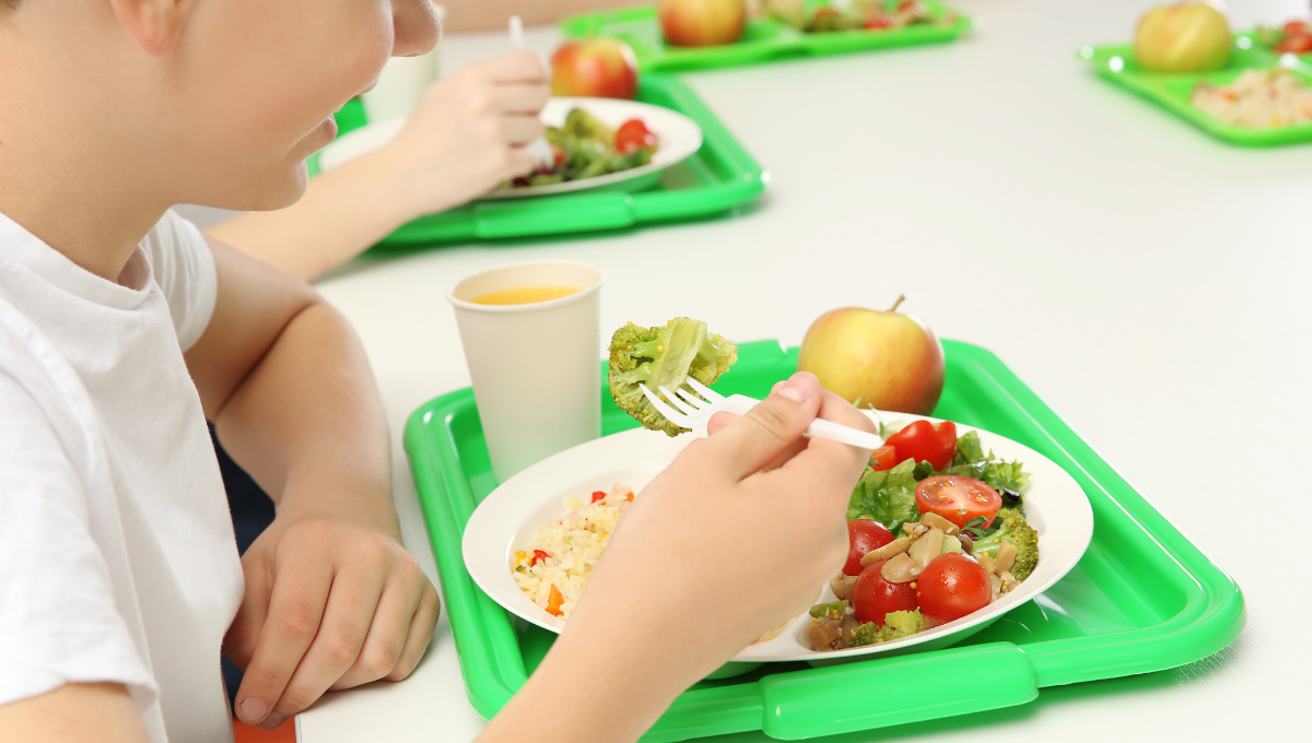 La alimentación de los comedores escolares impacta en el desarrollo de los niños (Foto. Canva)