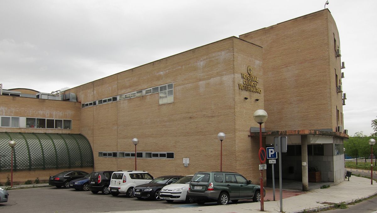 Hospital Clínico Veterinario de la Universidad Complutense de Madrid. (Foto: UCM)