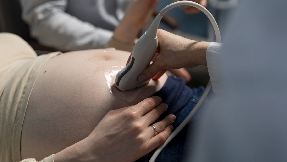 Ecografía en mujer embarazada para visualizar el feto, qu epodría desarrollar enfermedades TORCH (Foto. Freepik)