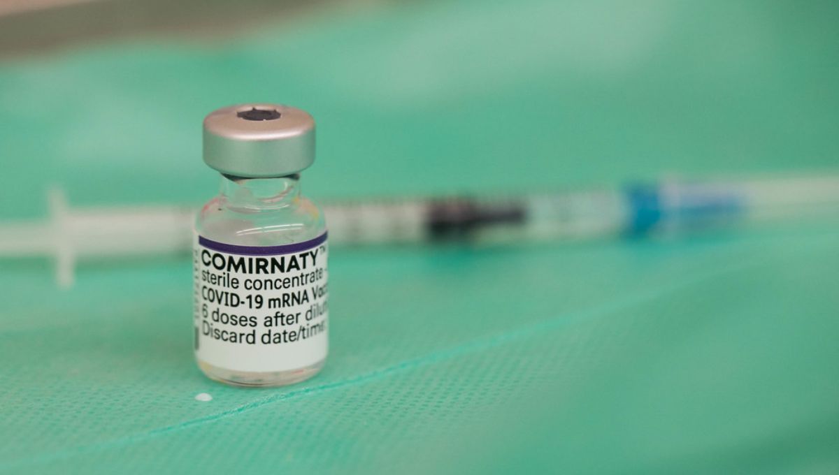 Comirnaty, la vacuna contra la Covid-19 de Pfizer/BioNTech (Foto. Flickr)