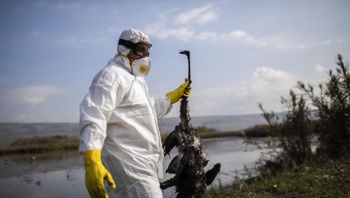 Trabajadores del Ministerio de Agricultura de Israel en labores de contención del virus durante un brote en el país (Foto: EuropaPress)