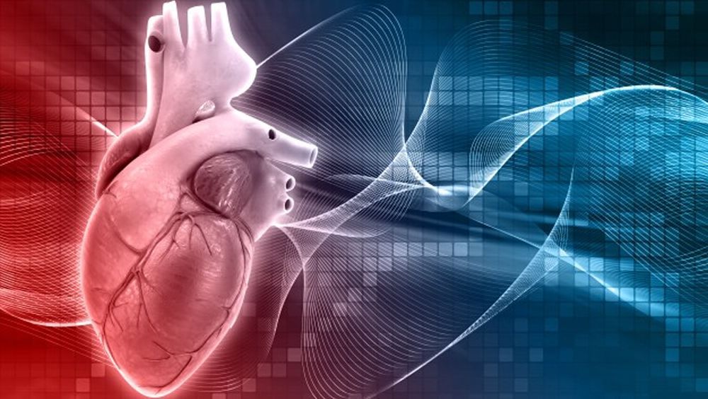 Un Software Holografico En 3d Para Planificar Procedimientos Cardiacos