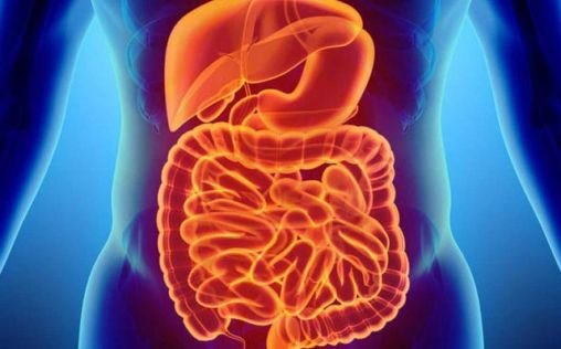 Reconstrucción 3D del intestino, un avance clave en la detección del cáncer colorrectal