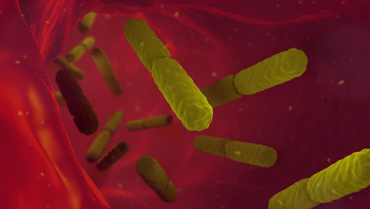 Bacterias (Foto. Canva)