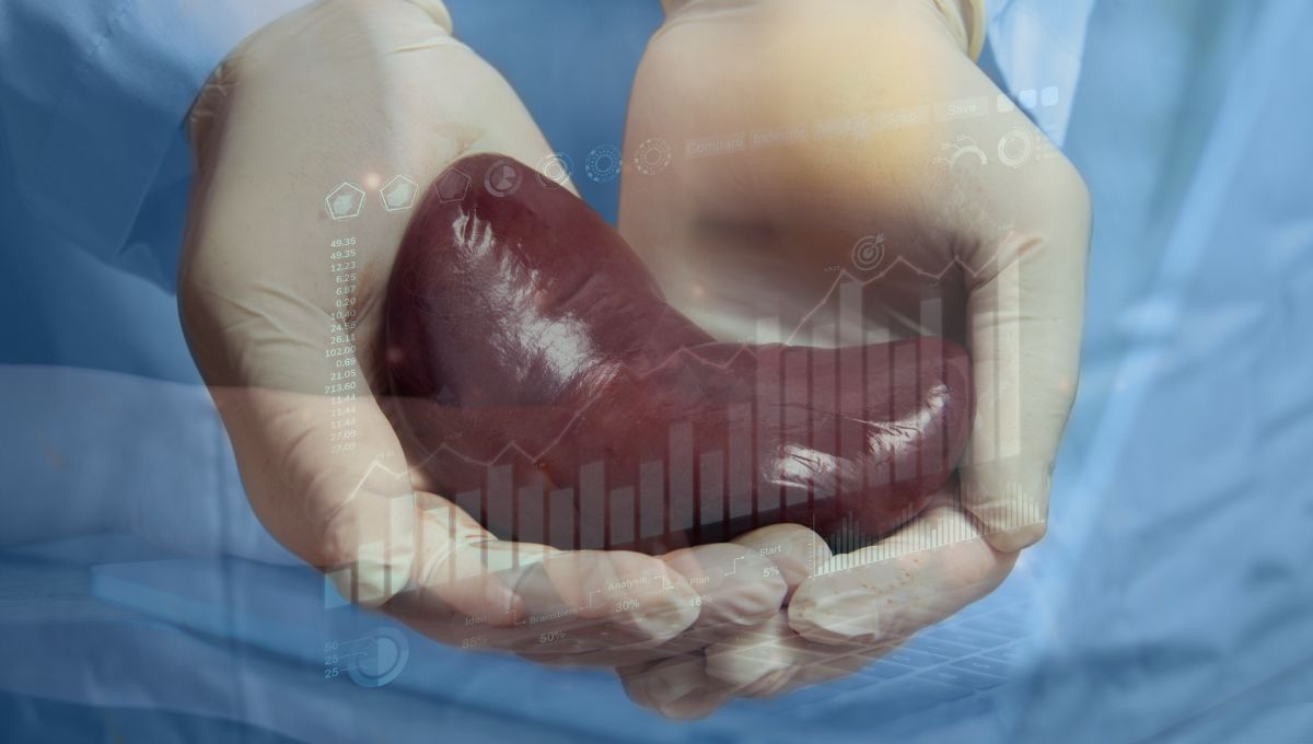 La Inteligencia Artificial mejora los resultados de trasplantes de riñón de donación en asistolia (Montaje Consalud)