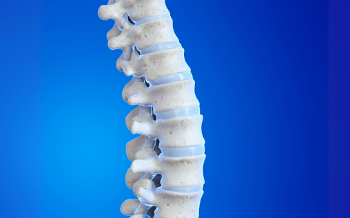 Españoles crean una base de datos mundial única de modelos 3D de la columna vertebral