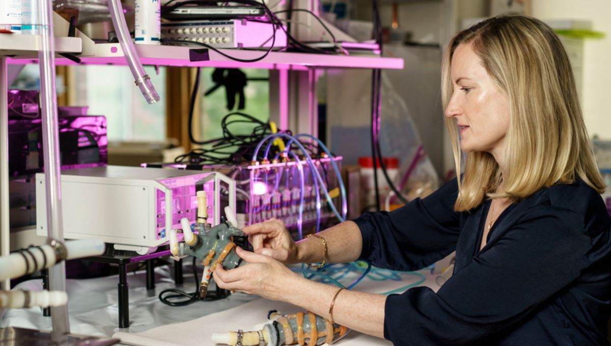 Ellen Roche, investigadora destacada en innovación en Ingeniería Biomédica y formación de profesionales (Fuente MIT)