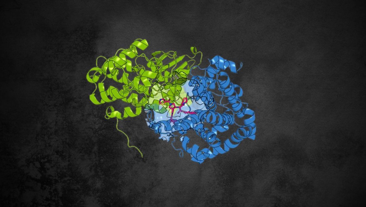 Gemelo molecular (Investigación Scripps)