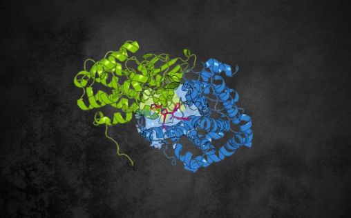 Descubren una nueva estrategia para combatir el cáncer aprovechando las similitudes moleculares