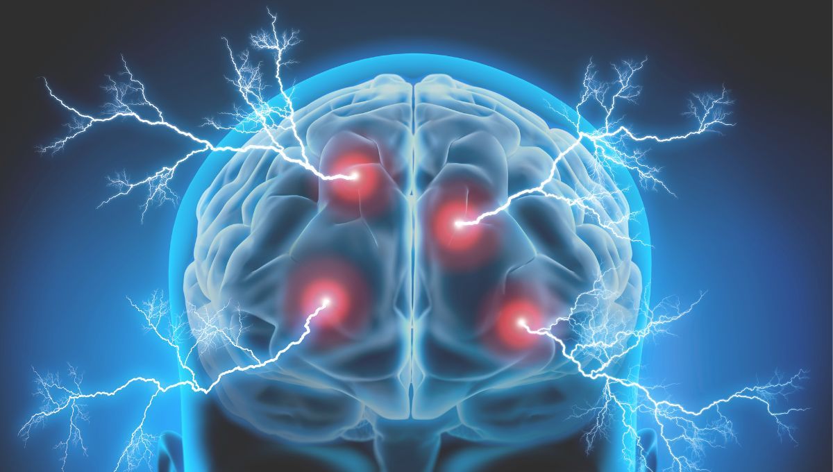 Descubren un complejo proteínico clave en la salud cerebral podría transformar el tratamiento de la ansiedad (Fuente: Canva)