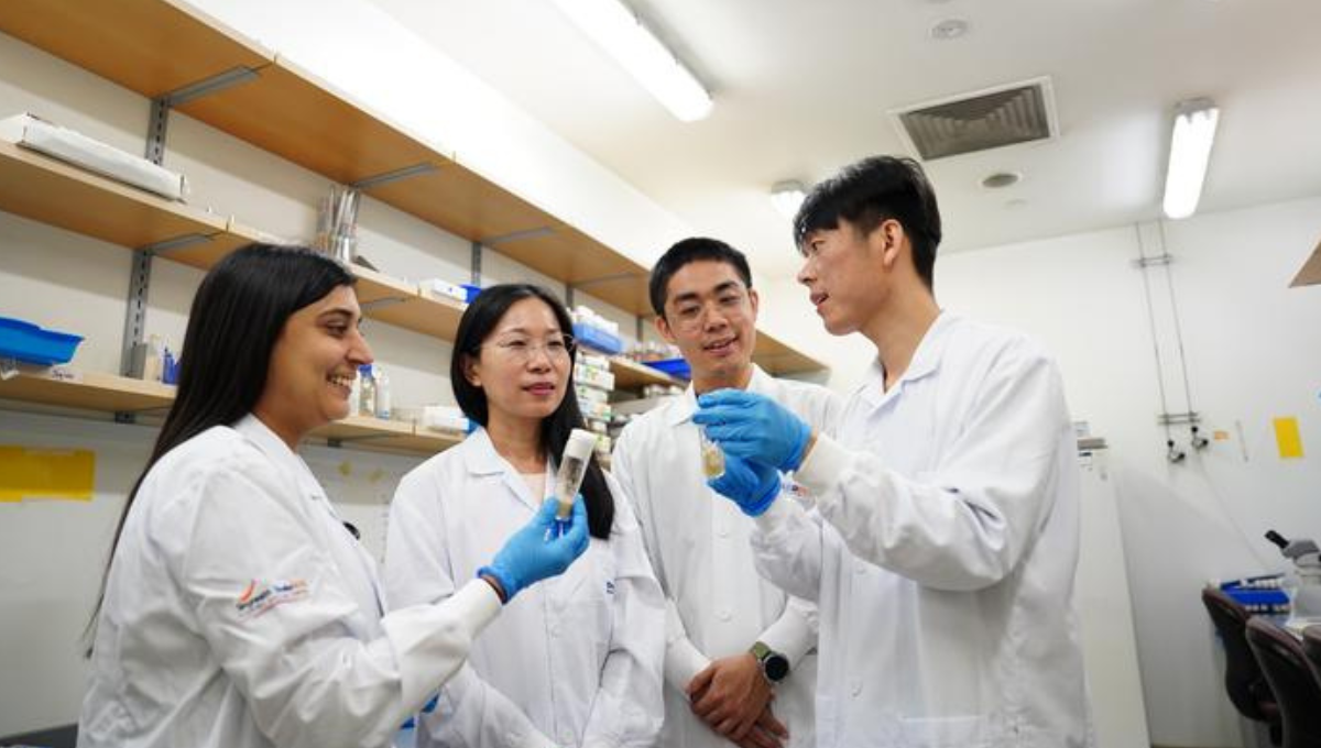 Equipo dirigido por el profesor Wang Hongyan (Foto: Facultad de Medicina de Duke-NUS)