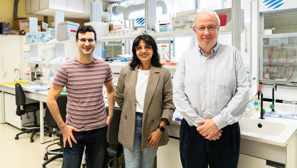 Investigadores que han hecho posible este proyecto. (Foto: VICENTE LARA/UPV)