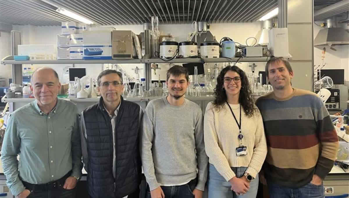 Monitorizan en tiempo real cómo un novedoso tratamiento actúa contra el glioblastoma (Foto. Universidad de Zaragoza)