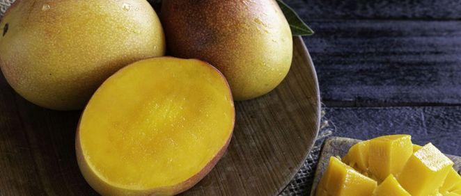 El mango y sus beneficios para la salud ilustração do Stock