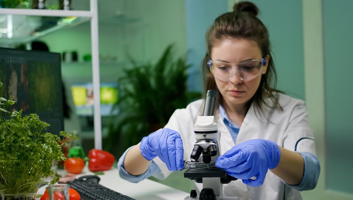 Análisis de zoonosis por veterinarios en un laboratorio. (Foto: Freepik)