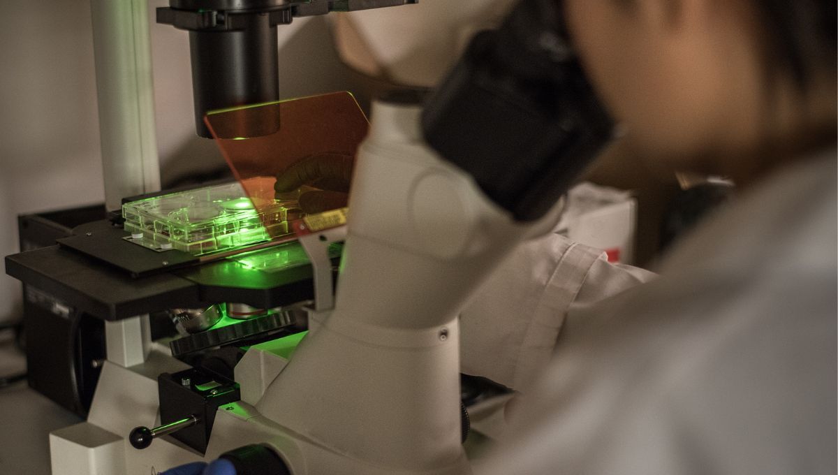 Técnico en laboratorio investiga sobre el alzhéimer (Fuente: Canva)