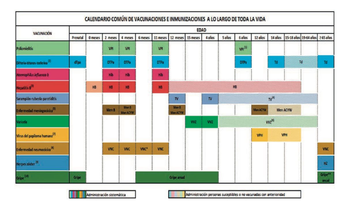 Calendario de vacunación a lo largo de toda la vida en Extremadura