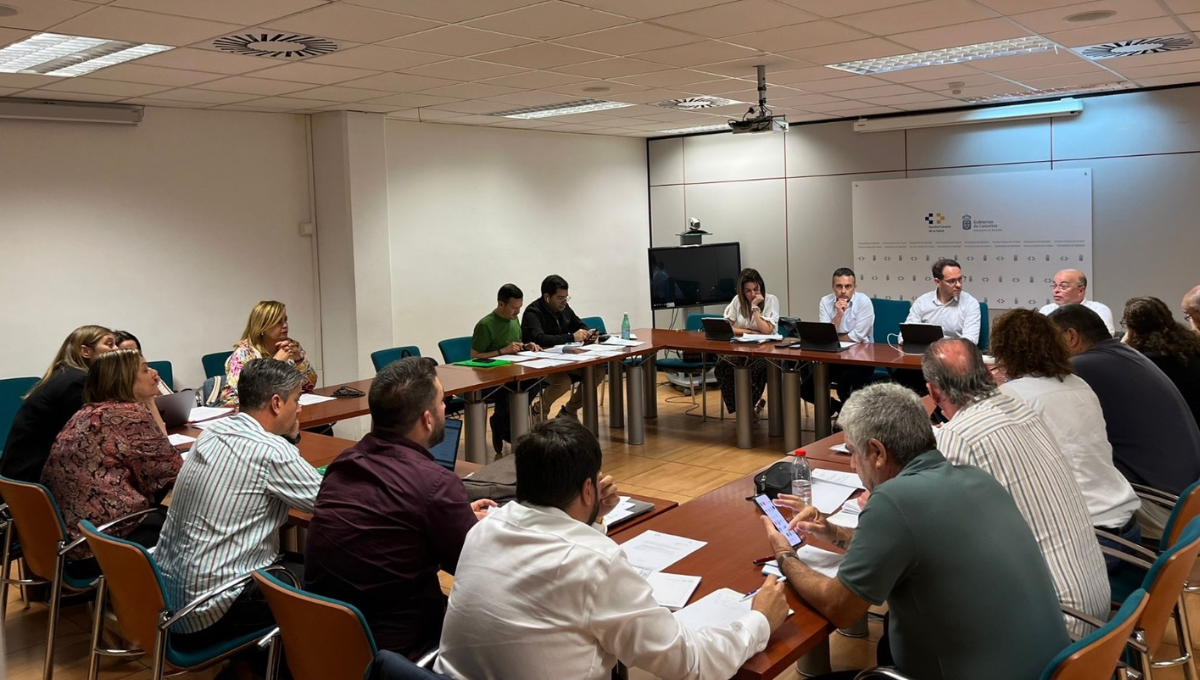 Reunión de la Mesa Sectorial en Canarias. (Foto. SCS)