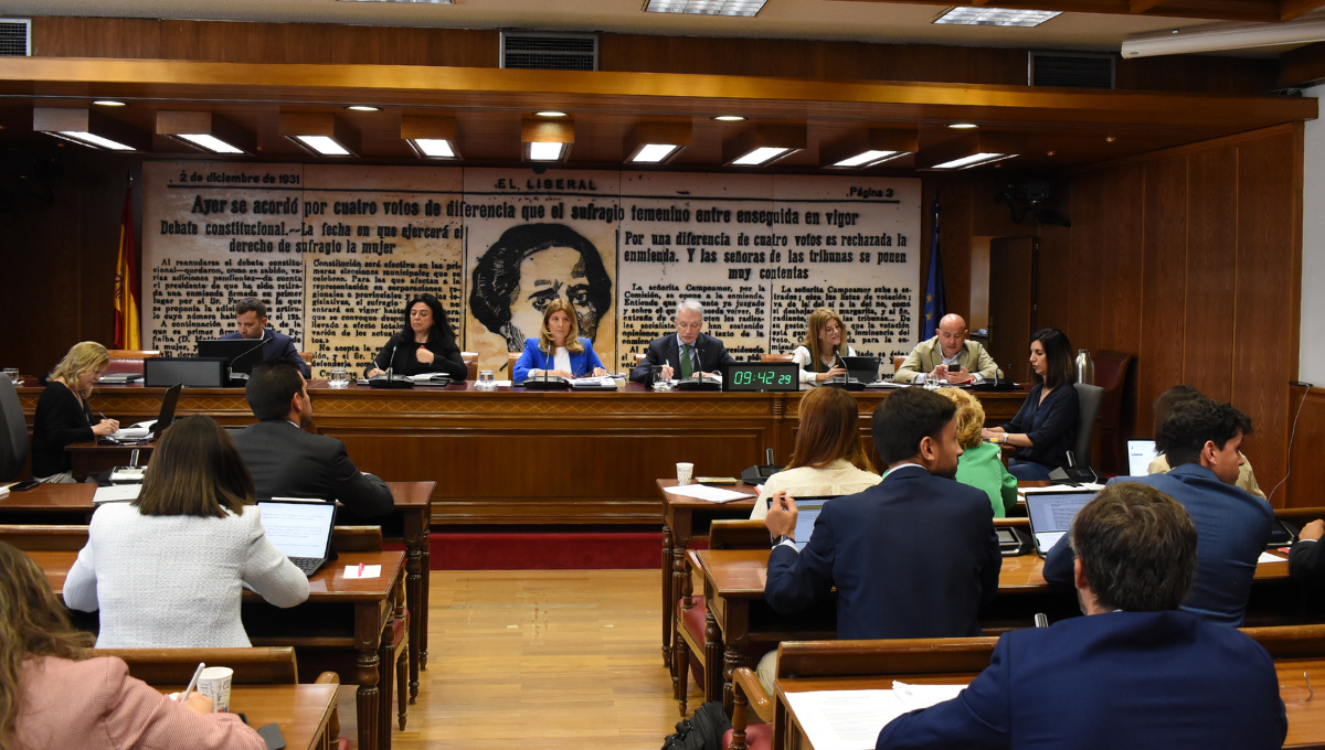 Comisión de Juventud e Infancia en el Senado (Foto: Senado)