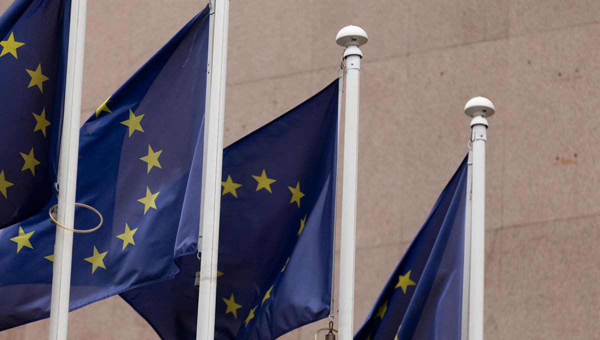 Banderas de la Unión Europea (Foto. Eduardo Parra   Europa Press)