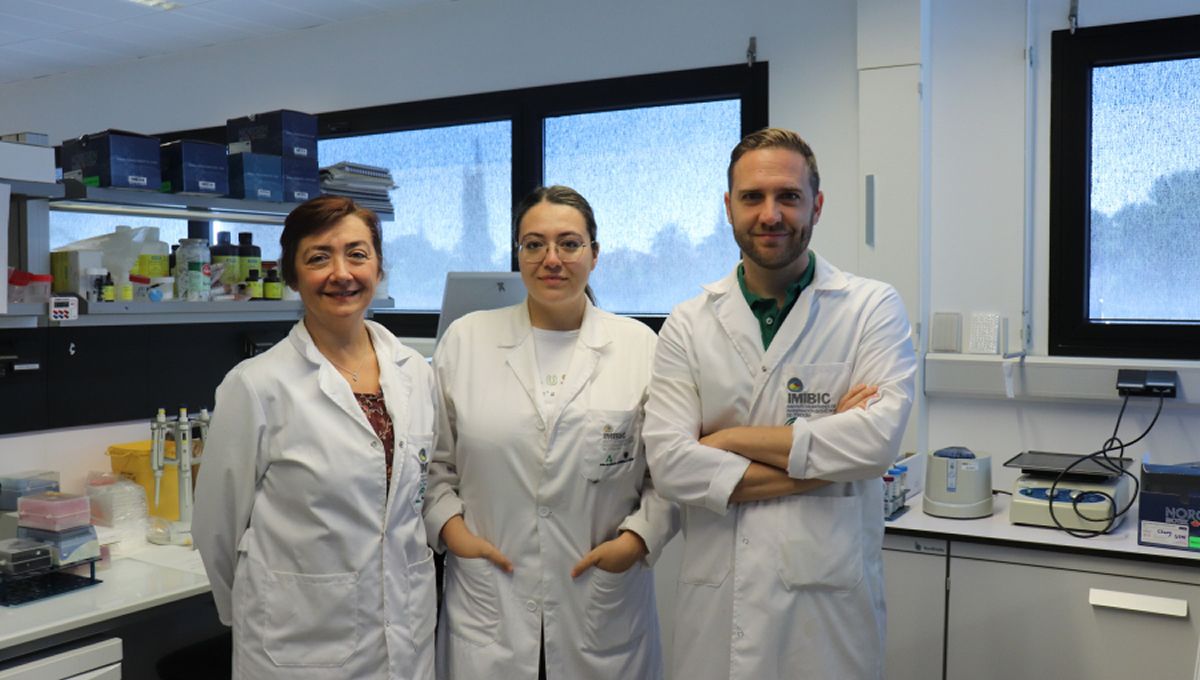 Las investigadoras Chary López-Pedrera y Laura Muñoz y el investigador Carlos Pérez, en las instalaciones del IMIBIC (Foto: Universidad de Córdoba)