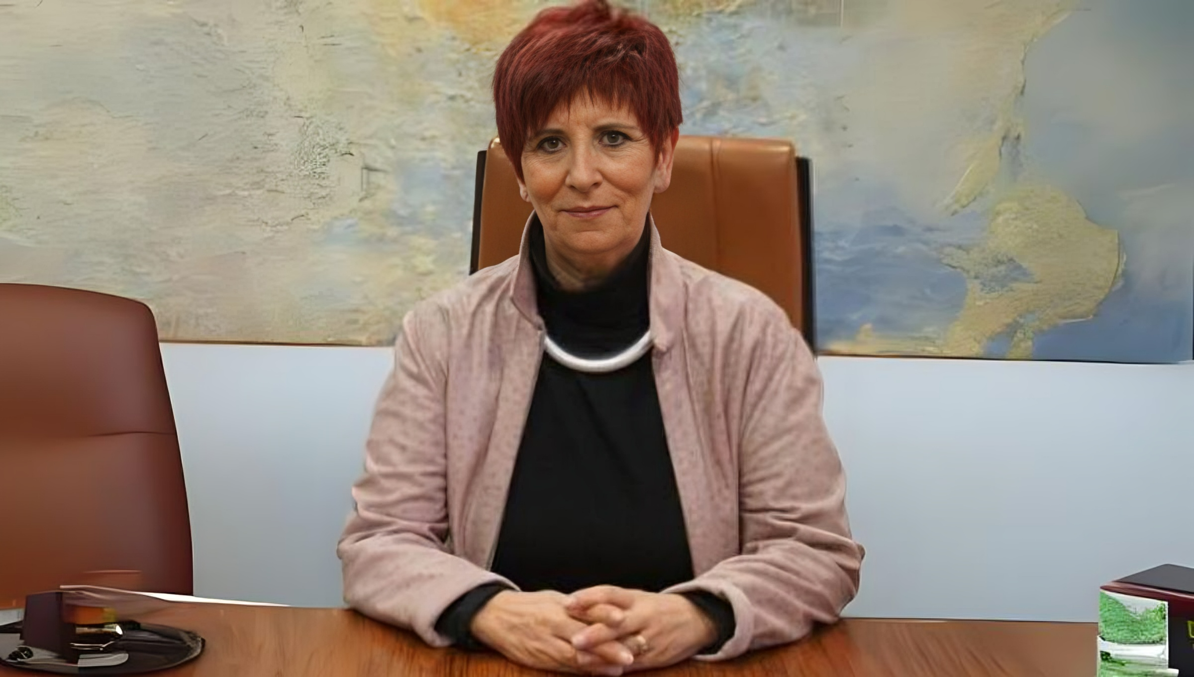 Mª Isabel Castelló López, vicepresidenta de la Asociación Española de Matronas (Foto. AEM)