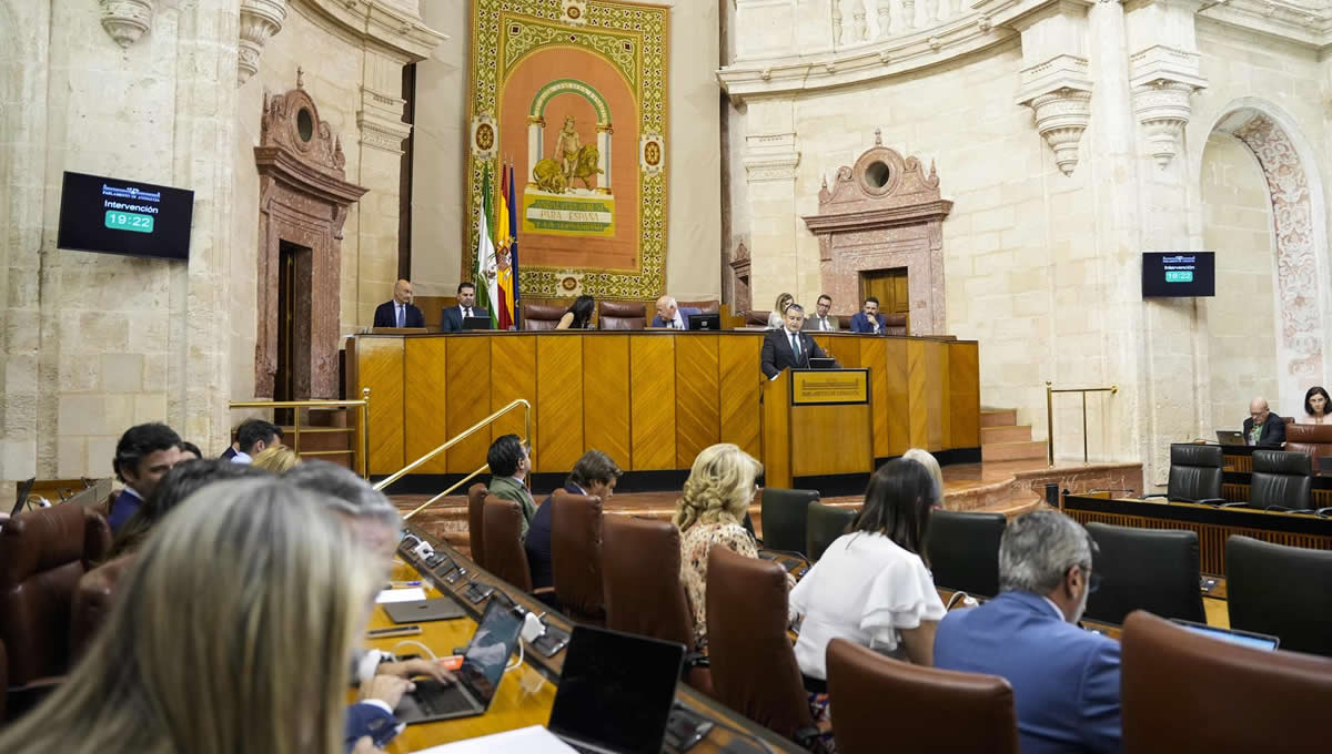Pleno del Parlamento de Andalucía (Foto: Joaquín Corchero)