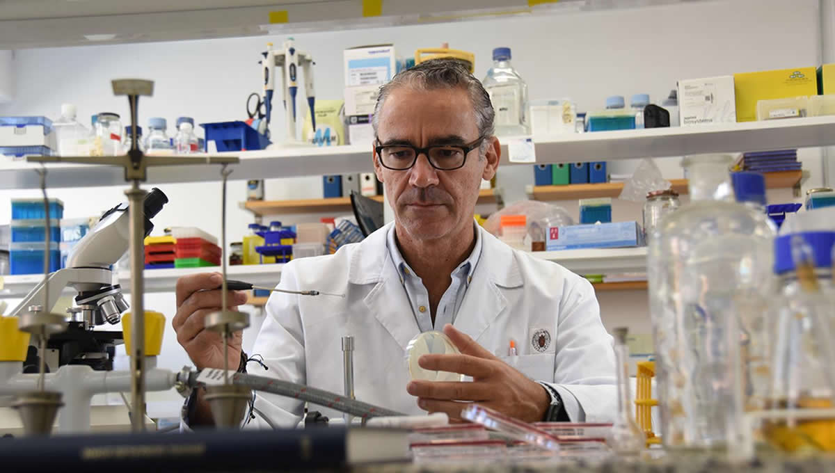 Bruno González-Zorn, microbiólogo y experto en resistencia a los antibióticos (Foto: González-Zorn)