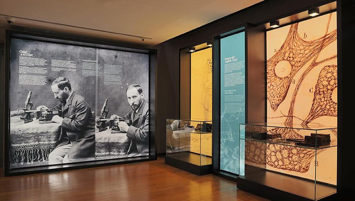 El Gobierno aprueba la creación del Museo Cajal (Foto: Ministerio de Ciencia)
