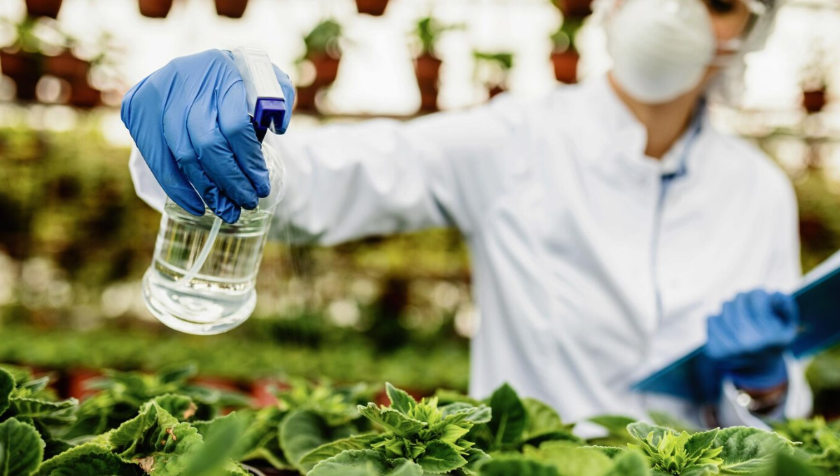 Sanidad actualiza la normativa de biocidas en España (Foto: Freepik)