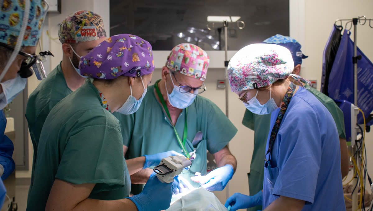 El Hospital Universitario Virgen de las Nieves interviene con mucosa oral artificial a una bebé con fisura labiopalatina (Foto. Junta de Andalucía)