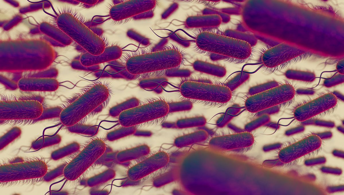 Un nuevo antibiótico supera las pruebas preclínicas contra las bacterias carnívoras (Foto: Freepik)