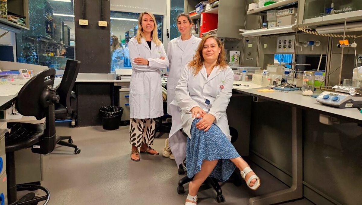 Angela Cirulli, Núria Torras y Elena Martínez, investigadoras del IBEC que han desarrollado el estudio que avanza en piel artificial (Foto. IBEC)