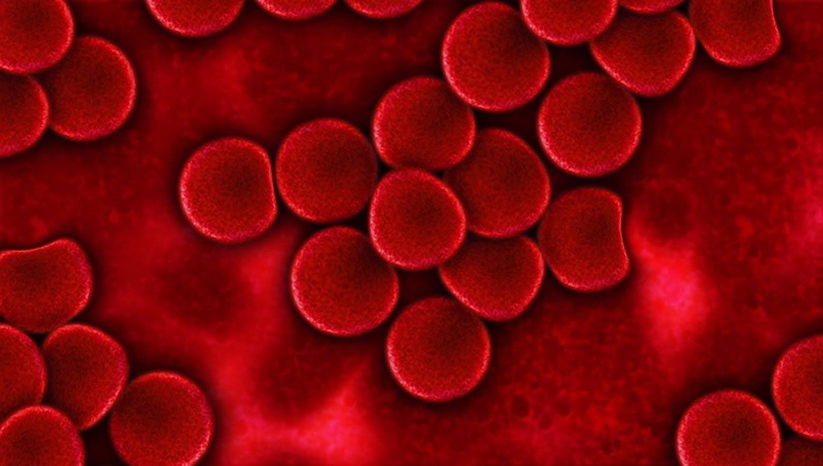 Las proteínas de la sangre podrían predecir el riesgo de desarrollar más de 60 enfermedades (Foto: Europa Press)