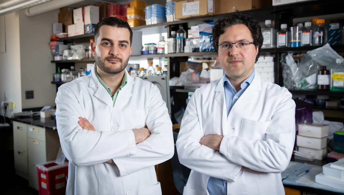 Investigadores de las terapias CAR T. (Foto: Niles Singer/Fotógrafo del personal de Harvard)