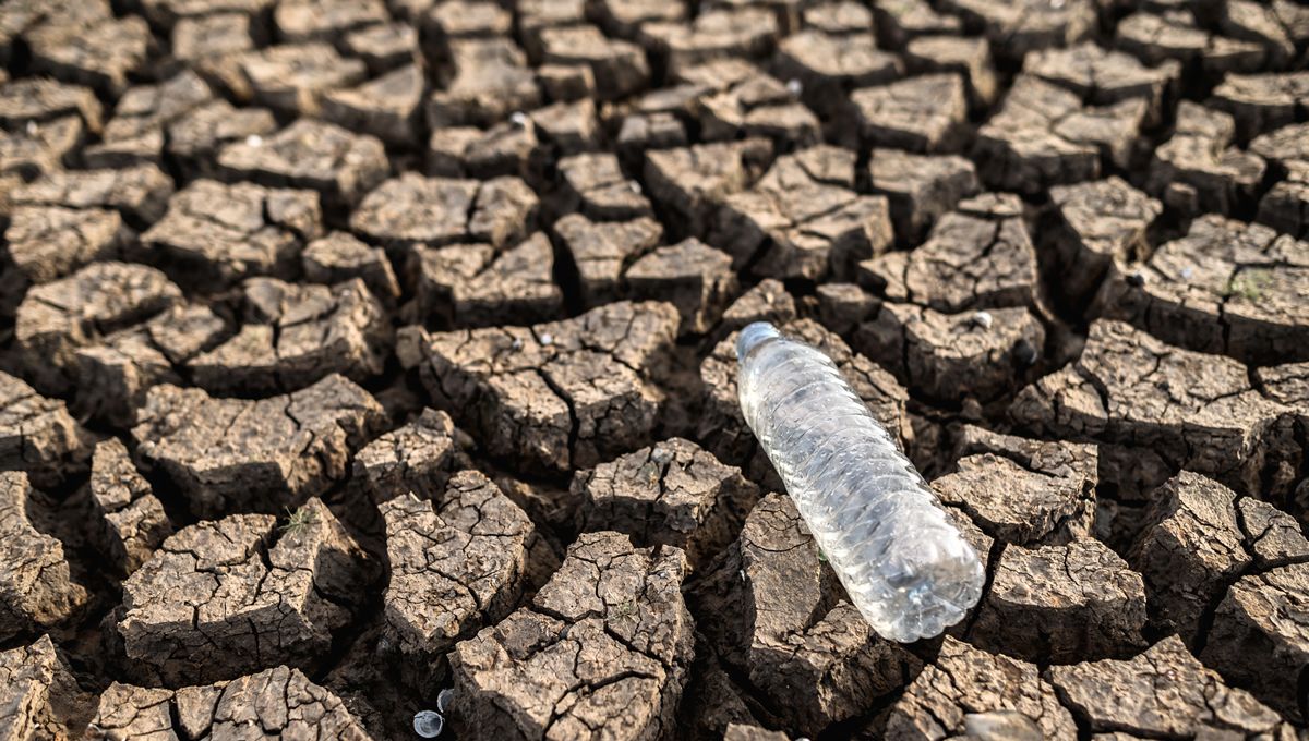 ¿Cómo puede adaptarse la UE al cambio climático? (Foto. Freepik)