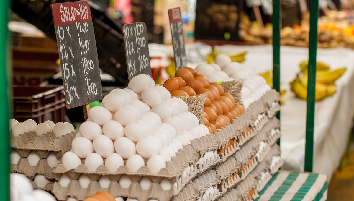 Huevos en un mercado (Foto. Pixabay