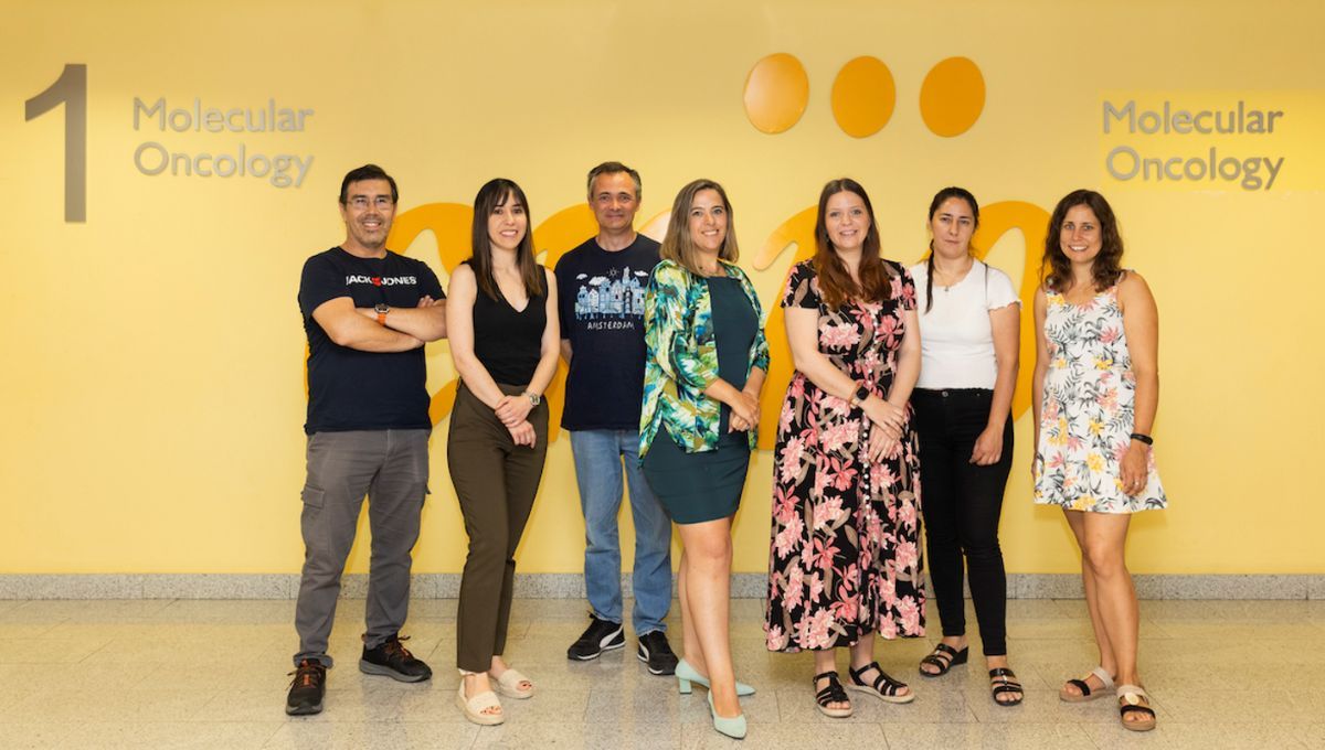 Equipo liderado por Guadalupe Sabio, del Centro Nacional de Investigaciones Oncológicas (Fuente: CNIO)