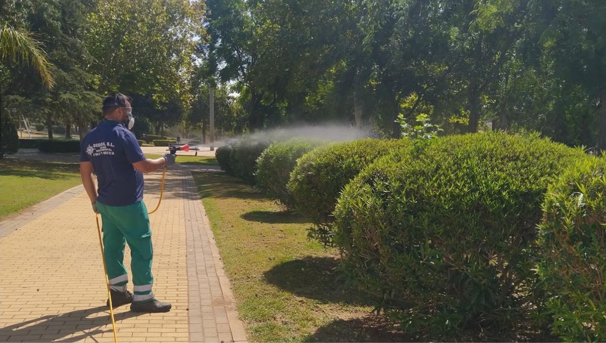 Un operario realiza labores de fumigación de mosquitos contra el Virus del Nilo en Alcalá de Guadaíra Fuente Ayuntamiento de Alcalá de Guadaíra